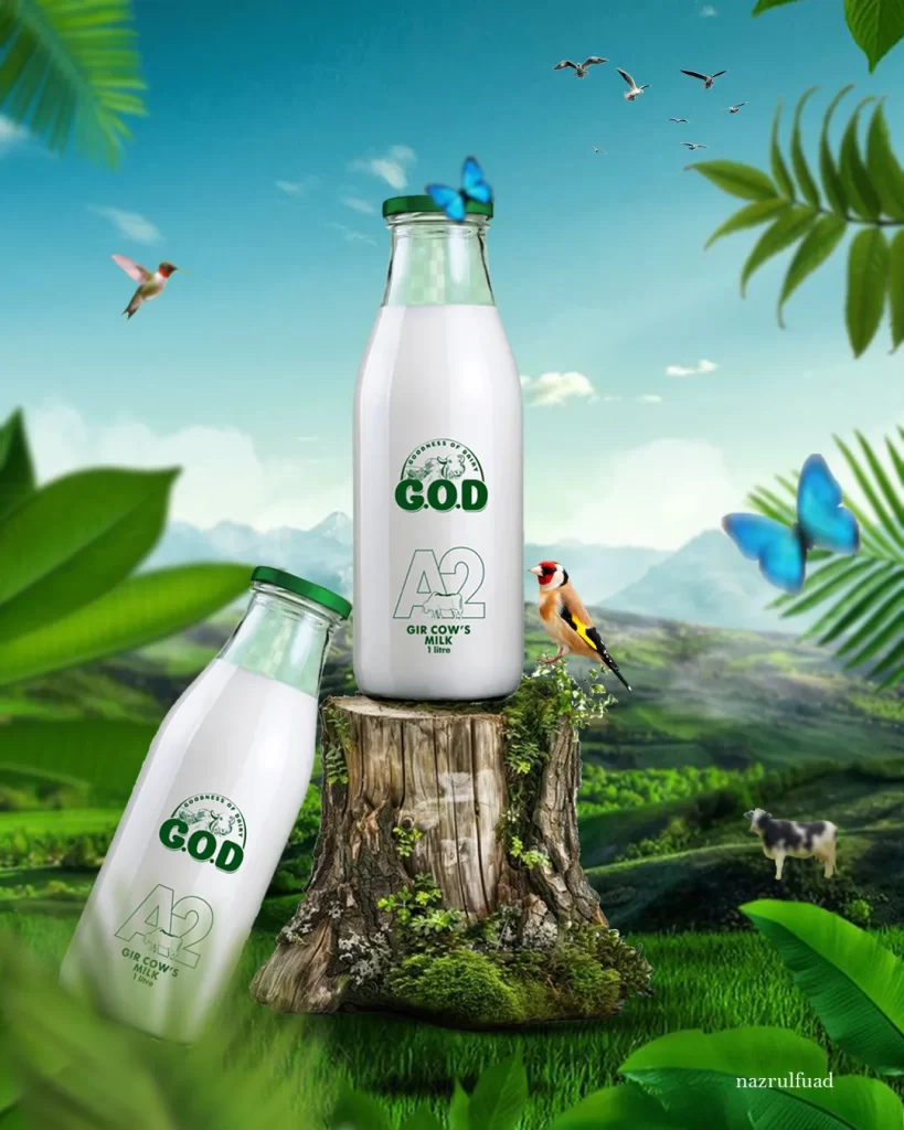 Freelance Digital Marketing Strategist in Calicut - Kerala 